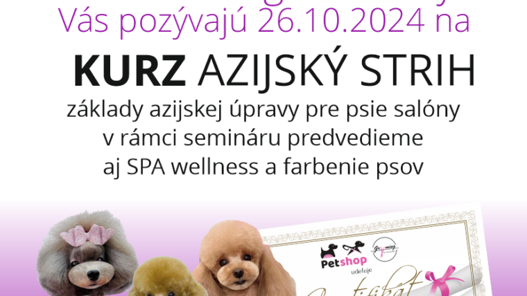 KURZ – seminár AZIJSKÝ STRIH